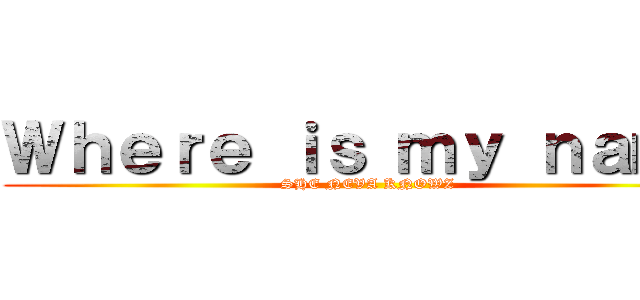 Ｗｈｅｒｅ ｉｓ ｍｙ ｎａｍｅ (SHE NEVA KNOWZ)