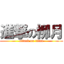 進撃の柳月 (attack on titan)