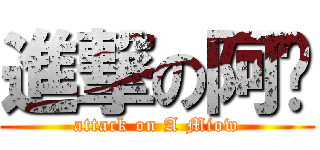 進撃の阿喵 (attack on A Miow)