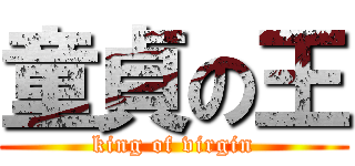 童貞の王 (king of virgin)