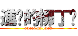 進擊的柳丁嬸 (attack on titan)