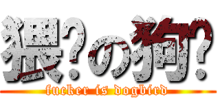 猥琐の狗鹏 (fucker is dogbird)