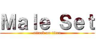 Ｍａｌｅ Ｓｅｔ (attack on titan)
