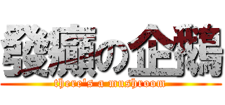 發癲の企鵝 (there\'s a mushroom)