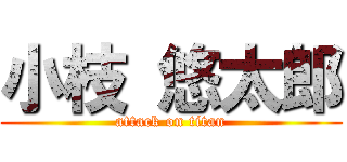 小枝 悠太郎 (attack on titan)