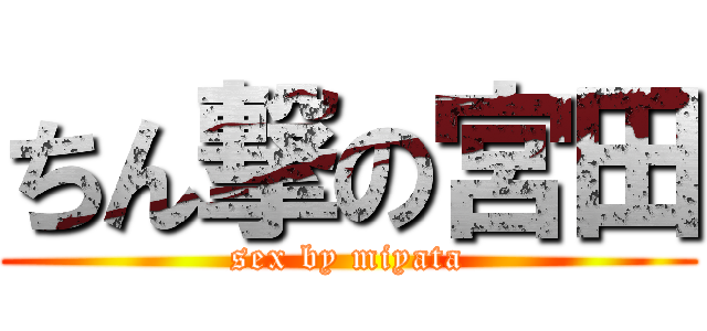 ちん撃の宮田 (sex by miyata)