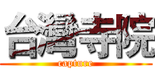 台灣寺院 (capture)