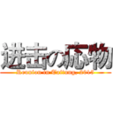 进击の応物 (Reunion in Taitung, 2015)