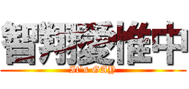 智翔愛惟中 (It\'s GAY)