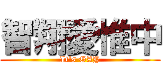智翔愛惟中 (It\'s GAY)