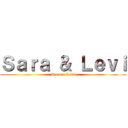 Ｓａｒａ ＆ Ｌｅｖｉ (Sara x Levi)