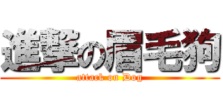 進撃の眉毛狗 (attack on Dog)