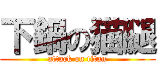 下鍋の猫腿 (attack on titan)