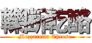 轢断乾酪 (Mozzarella Cheese)