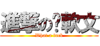 進撃の洨軟文 (What a fuck)
