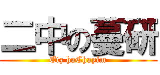 二中の蔓研 (Etz haChayim)