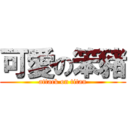 可愛の笨豬 (attack on titan)
