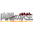 向陽の求生 (attack on titan)