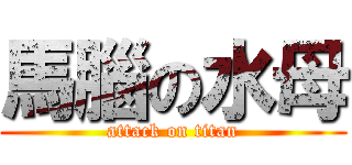 馬腦の水母 (attack on titan)