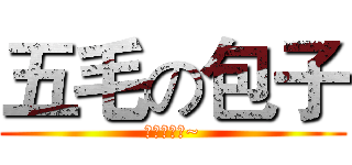 五毛の包子 (只需五毛哦~)
