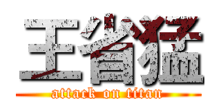 王省猛 (attack on titan)