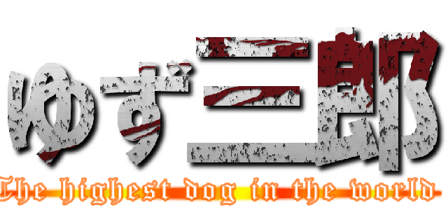 ゆず三郎 (The highest dog in the world )