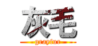 灰毛 (grayfur)