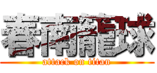 春南籠球 (attack on titan)