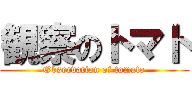 観察のトマト (Observation of tomato)