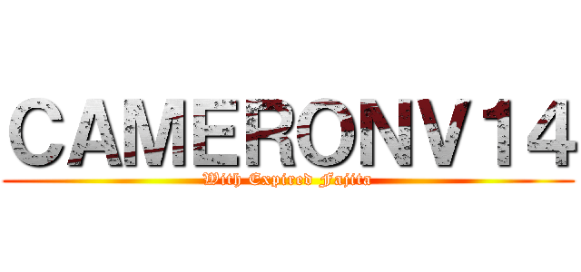 ＣＡＭＥＲＯＮＶ１４ (With Expired Fajita)