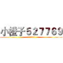 小橙子５２７７６９ (527769)