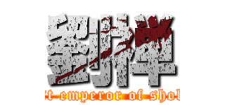 劉禅 (last emperor of shoku)