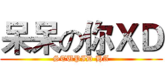 呆呆の你ＸＤ (STUPID HA)