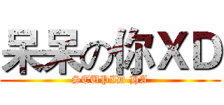 呆呆の你ＸＤ (STUPID HA)