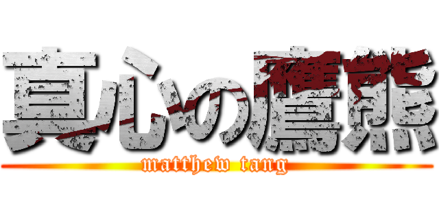 真心の鷹熊 (matthew tang)