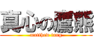 真心の鷹熊 (matthew tang)