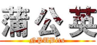 蒲 公 英 (NPUBits)