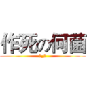 作死の何菌 (→_←)