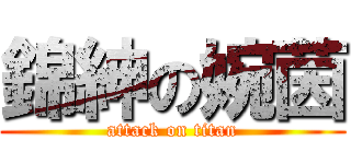 錦紳の婉茵 (attack on titan)