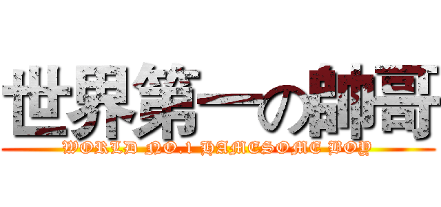 世界第一の帥哥 (WORLD NO.1 HAMESOME BOY)
