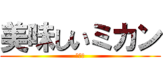 美味しいミカン (大工場)
