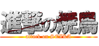 進撃の焼鳥 (attack on SEIKA)