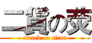 二貨の荧 (attack on titan)
