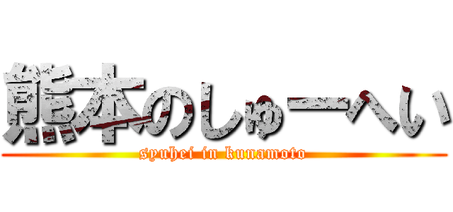 熊本のしゅーへい (syuhei in kunamoto)