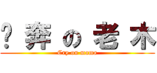 淚 奔 の 老 木 (Cry on mama)