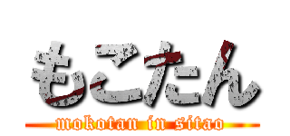 もこたん (mokotan in sitao)