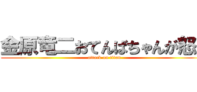 金原竜二おてんばちゃんが怒る (attack on titan)