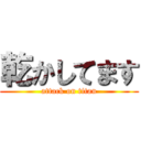 乾かしてます (attack on titan)