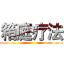 箱庭疗法 ()