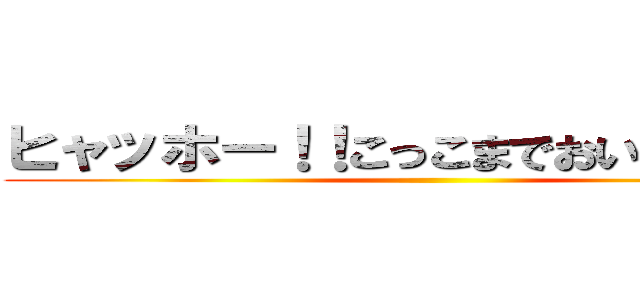 ヒャッホー！！こっこまでおいでー！！」 ()